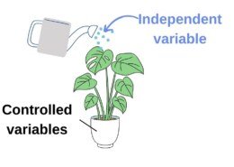 What is the independent variable for science?